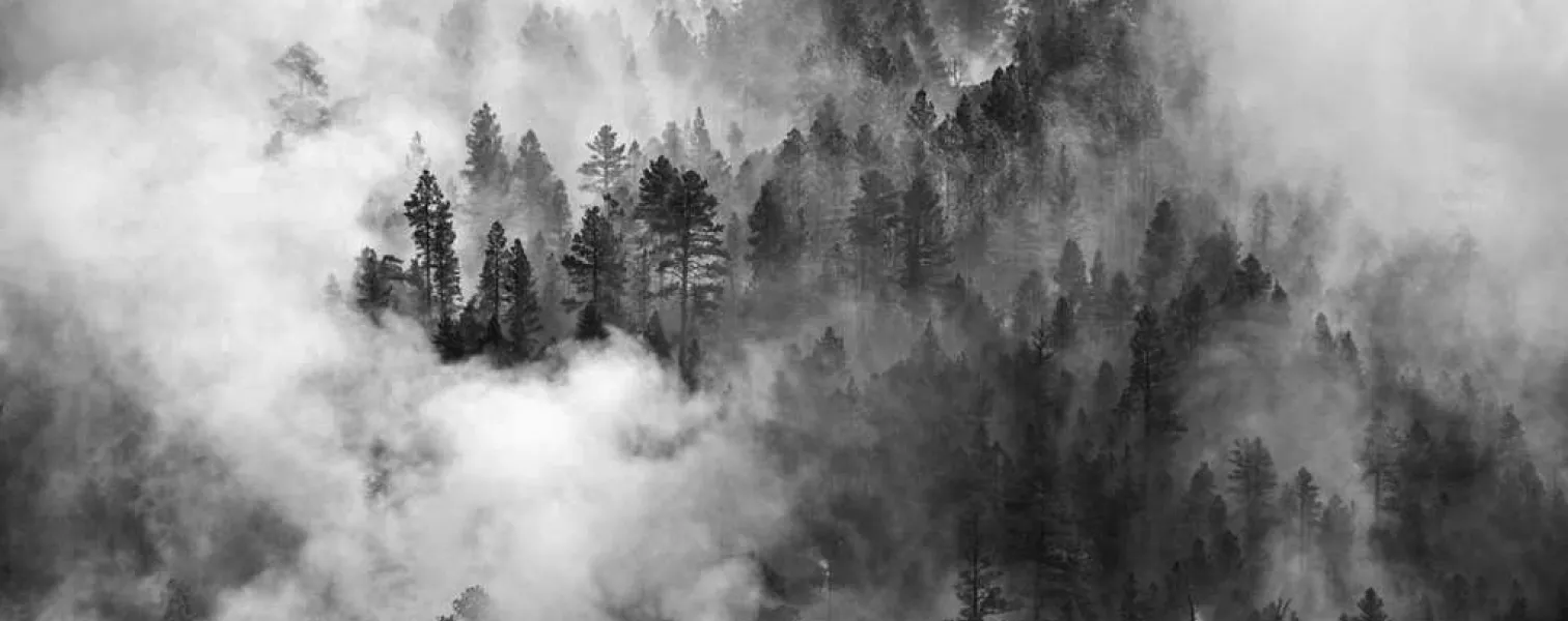 Langue(s) de feu / Judith Zimmerman