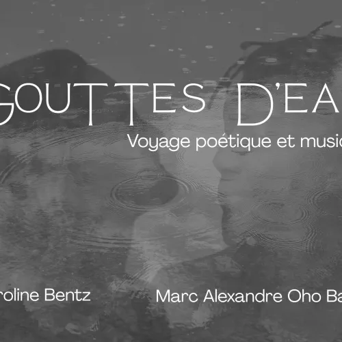 Gouttes d'eau 