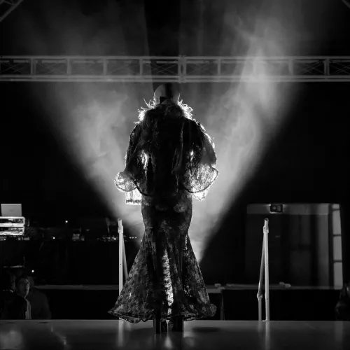 Bestiaire Vestiaire / Vincent VDH