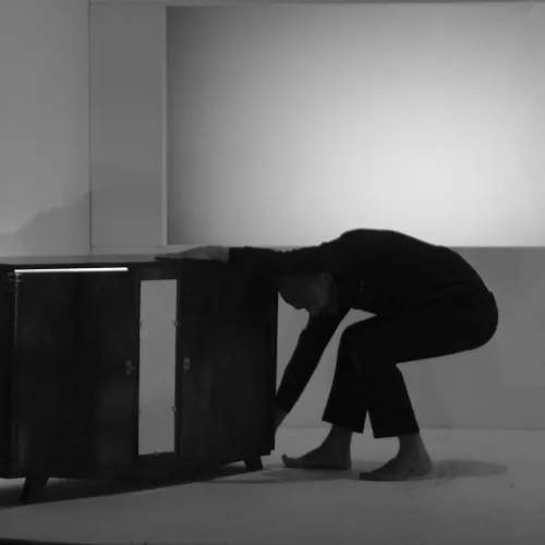 Haut Cris / Linde Van Raeschelder