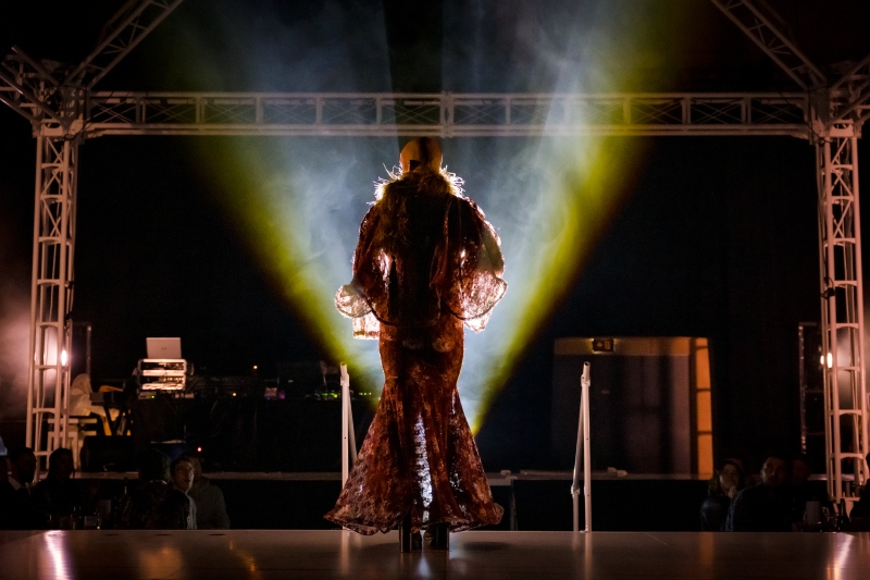 Bestiaire Vestiaire / Vincent VDH